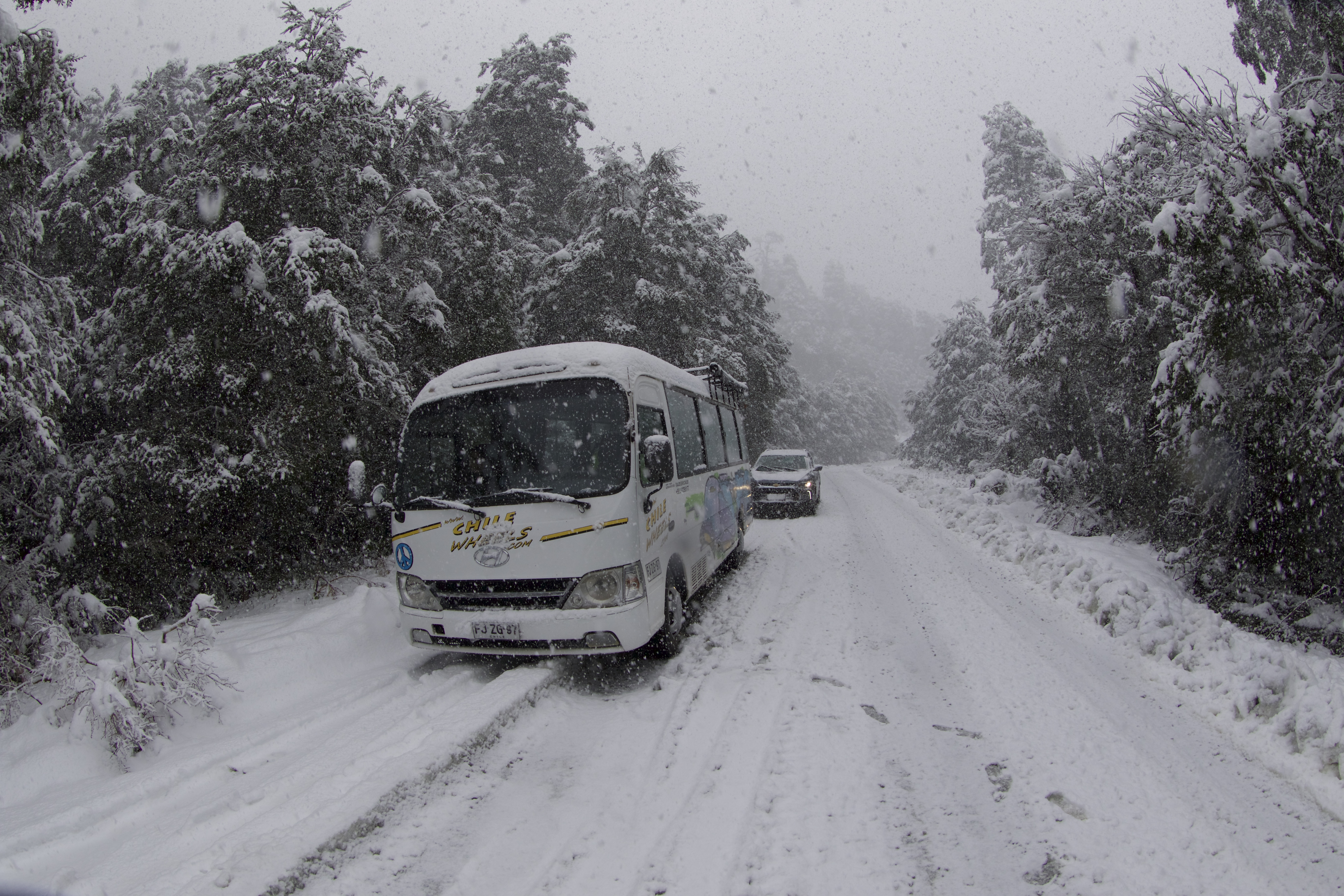 Bus en ruta